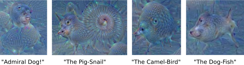 Illustration for article titled Artificial Neural Networks Can Day Dream–Here's What They See